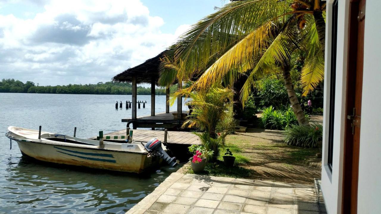 Lake Lane Guest Rest ค็อกกาลา ภายนอก รูปภาพ