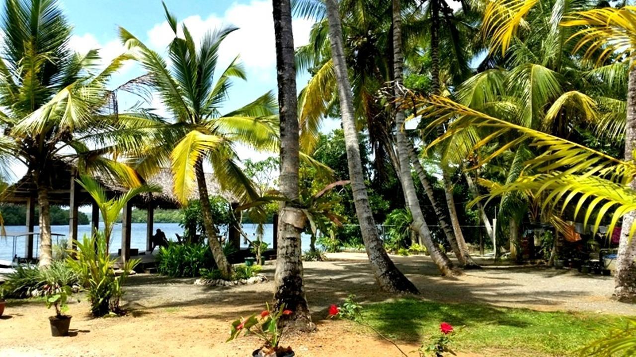 Lake Lane Guest Rest ค็อกกาลา ภายนอก รูปภาพ