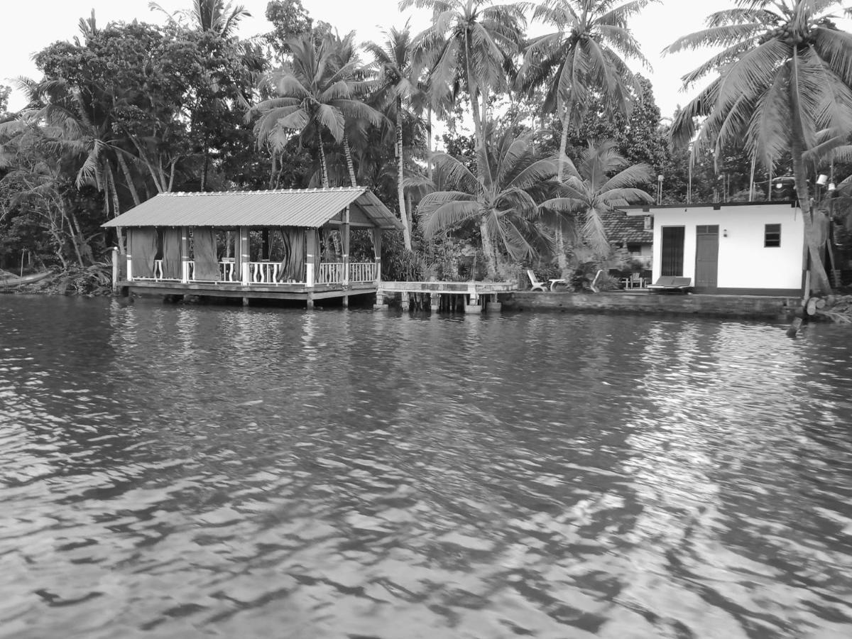Lake Lane Guest Rest ค็อกกาลา ภายนอก รูปภาพ